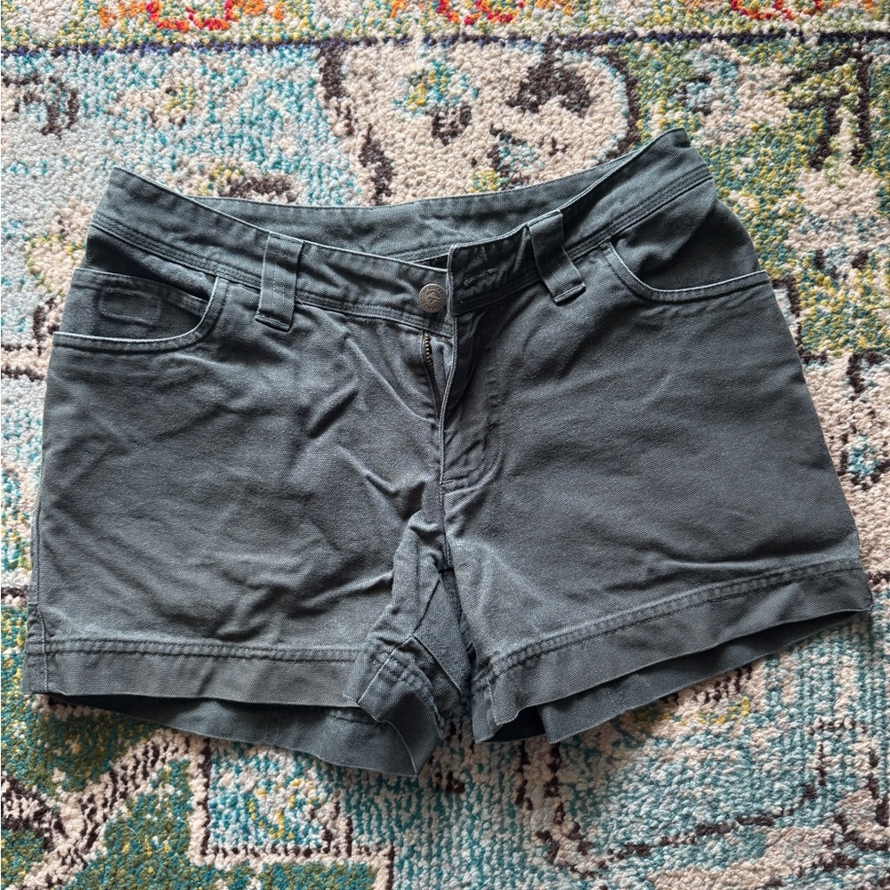Patagonia Shorts